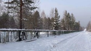 Встречаем Новый год на даче. Традиционные салаты. Новогоднее печенье