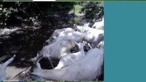 Умные письма. Шалаш или пещера