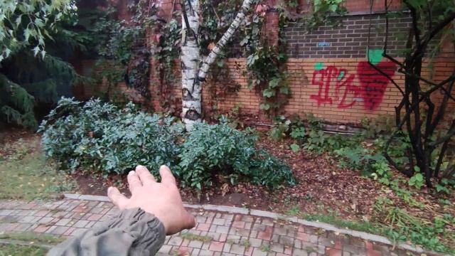 я б назвал бы 20 лет спустя видео после обрезки