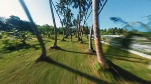 Один из самых популярных и универсальных отелей на Мальдивах