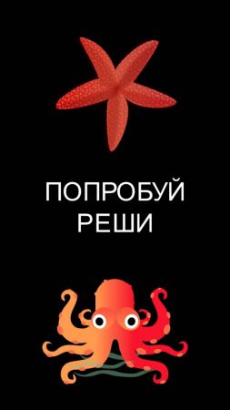 Головоломки. Интересные задачи. Задача про осьминогов и морских звезд.