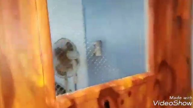 Музей дикой природы в Walnut Creek