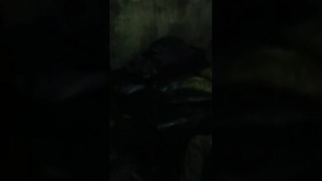 Видео из подвала многоэтажки освобождённого Курахово, куда противник сбрасывал своих двухсотых