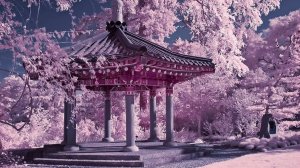 ЯПОНИЯ ИНТЕРЕСНЫЕ ФАКТЫ О СТРАНЕ -
