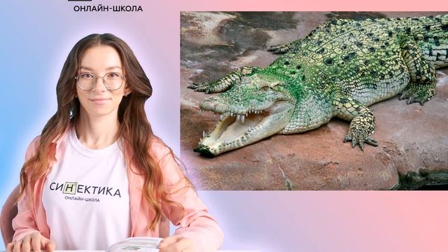 Интересные факты о крокодилах