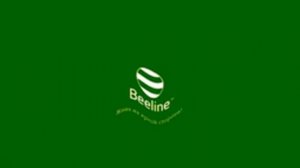 Beeline Kazakhstan Logo History In Crying