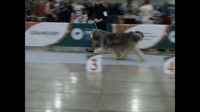 выставка Евразия 2023 смотреть онлайн