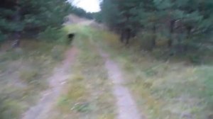 Иду в заброшенную деревню в поисках нового точка для пчёл. Размышления о жизни.