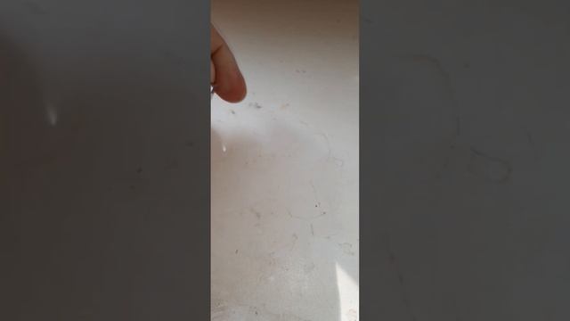 Самозапит смотреть онлайн