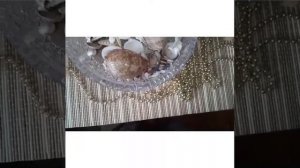 МОЯ КОЛЛЕКЦИЯ МОРСКИХ РАКУШЕК🐚