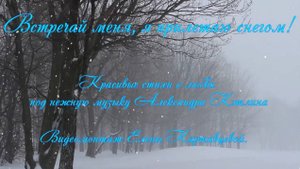 Встречай меня, я прилетаю снегом