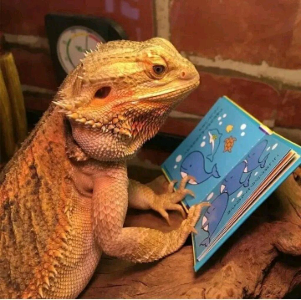ТРЕНЮСЬ ЧТОБ ИГРАТЬ ПРОТИВ ВАС