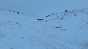 Новогодние покатушки 02.01.2025г.