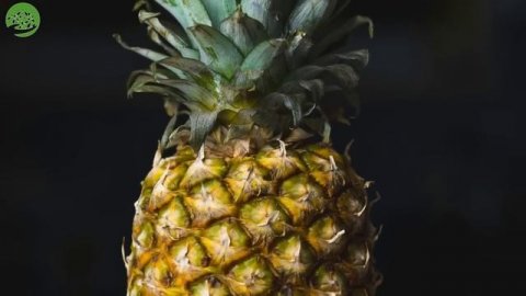 Гастроэнтеролог: Вот как НАВСЕГДА избавиться от вздутия живота! Метеоризм причины и лечение