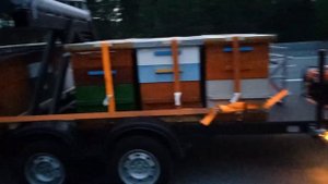 Как увеличить товарный медосбор. Едем на гречиху за 250 км. Погрузка ульев манипулятором.