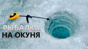 ПЕРВЫЙ ЛЁД 2024-2025! Зимняя рыбалка на мормышку. Ловля Окуня