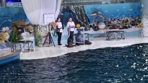 Дельфинарий в Евпатории. Новогоднее шоу