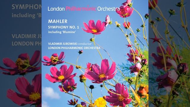 Symphony No. 1 in D Major Titan: II. Blumine. Andante allegretto