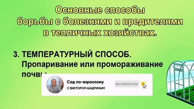 4 способа обработки теплицы от болезней и вредителей.