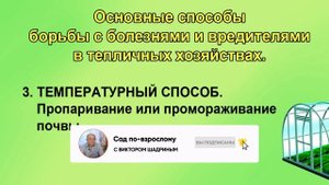 4 способа обработки теплицы от болезней и вредителей.