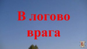 В логово врага
