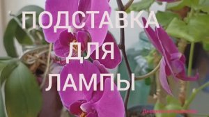 ПОДСТАВКА ДЛЯ ЛАМПЫ, ПОДСВЕТКА ЦВЕТАМ