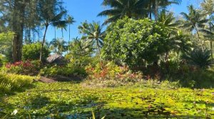 LE BORA BORA BY PEARL RESORT,BORA BORA