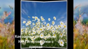 "Как соловьи сегодня пели!" -  стихи о природе - поэт Игнатова - Нина.рф