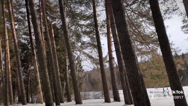 1 февраля 2021 г. смотреть онлайн