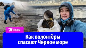 Спецкор «КП» Наталья Варсегова вместе с волонтёрами очищает пляжи Анапы