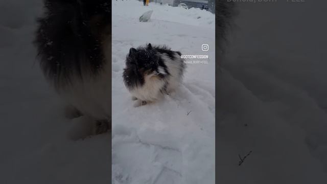 1000081842.mp4