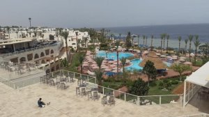 ЕГИПЕТ2024 Hotel PICKALBATROS (ALBATROS) ROYAL GRAND SHARM 5* СМЕНИЛ НАЗВАНИЕ! Номер и Обед