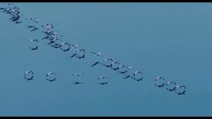 The Cinematic Orchestra - Arrival of the Birds