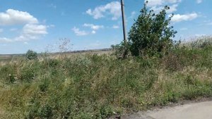 Мелекино, второй спуск, 29.07.2023, степь за поселком
