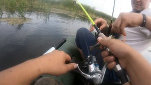 Поклевка на каждом забросе \4к