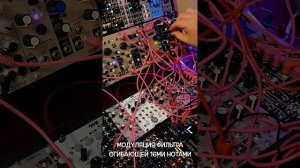 Магия модуляции Make Noise DPO посредством  S&H LFO сигналов и фильтра Stereo Dipole от SSF