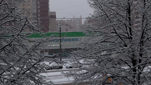 Снегопад и вид из окна "Зимняя сказка". Пятница, 3 января 2025 г.