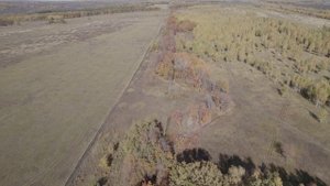 Первые киллометры Ново Закамской линии ,начало строительства 1731.г.