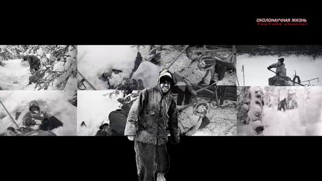 Кто эти люди и что они капают. смотреть онлайн