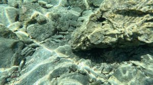 Турция. Экскурсия по островам Эгейского моря. Морской ёж-2. 2024.