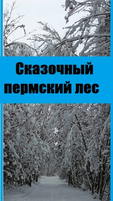 Лес на Урале, в Пермском крае, СКАЗОЧНО КРАСИВ, приезжайте, посмотрите сами!