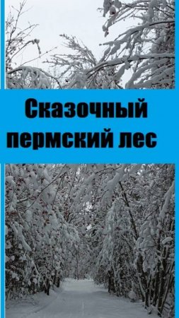 Лес на Урале, в Пермском крае, СКАЗОЧНО КРАСИВ, приезжайте, посмотрите сами!