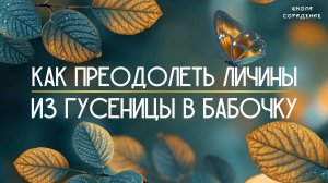 Как преодолеть личины. Из гусеницы в бабочку #личины #анна_шихова #весталия_белый_свет