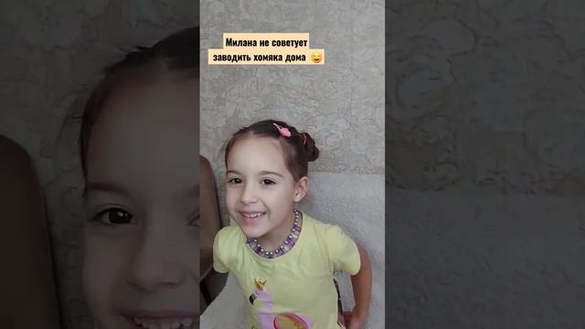 О жизни с хомяком  #хомякдома #хомячок #джунгарскийхомяк #хомячуля #хома #хомякивидео