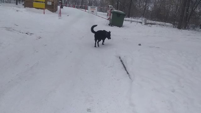 VID_20250101_141135.mp4 смотреть онлайн