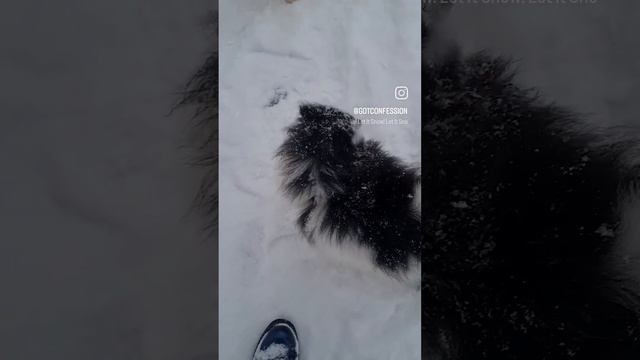 1000081844.mp4