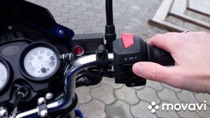 Пародистый Индийский конь TVS 150