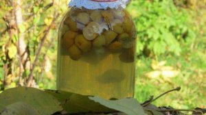 Компот из лимонника и айвы