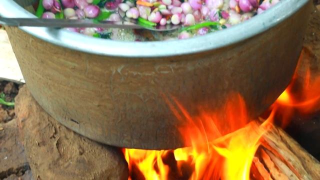 CHICKEN BIRYANI | CHICKEN RECIPE | சோழநாடு சிக்கன் தம் பிரியாணி