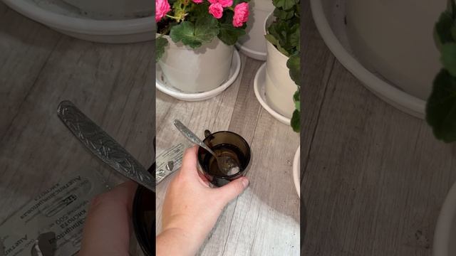 Срочно в ЯНВАРЕ разбудите Герань! 1 таблетка и даже чахлая и слабая вмиг зацветет! #герань #plants